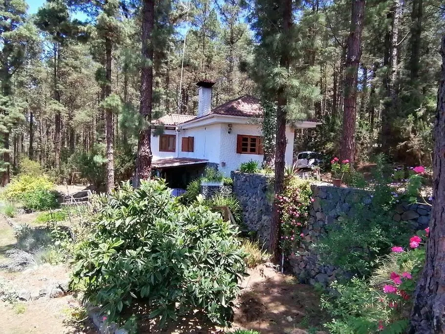 הוילה איקוד דה לוס וינוס Floral Garden House 0*,  ספרד