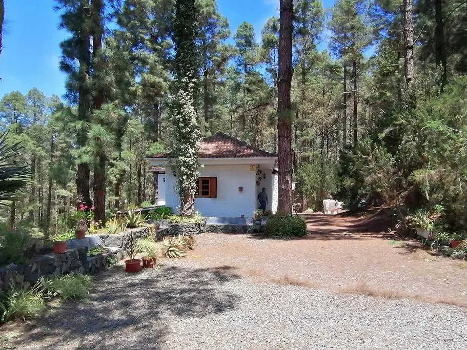 Сasa de vacaciones Villa Floral Garden House Icod De Los Vinos España